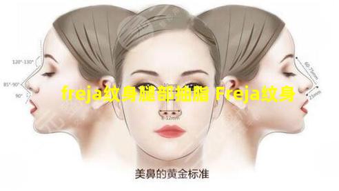 freja纹身腿部抽脂 Freja纹身